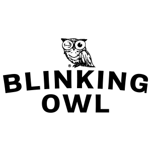 BlinkingOwl_Logo